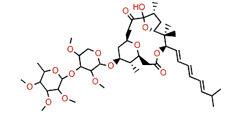 Polycavernoside A3